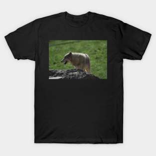 Wolf T-Shirt